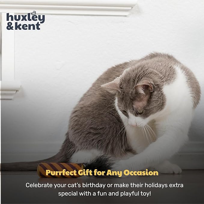 Huxley & Kent Plush Cat Toy - Halloween Interactive Catnip Toy for Cats & Kittens - Soft with Crinkle & Catnip - Fun Indoor Play - Spiderweb Donut & Black Flame 2pk