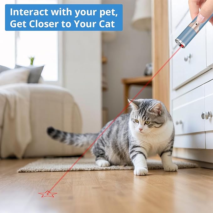 2 Pieces Cat Toy, USB Rechargeable, Long Range 5 Modes, Interactive Kitten Dog Cat Mouse Toy for Indoor (Sky Blue