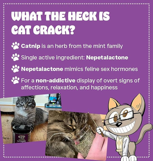 Cat Crack Catnip, Zoomie-Inducing Cat Nip Blend, North American Made & 100% Natural, Safe & Non-Addictive Catnip Treats Used to Supplement Cat Nip Toys, Spray, & Accessories (20 Cups)