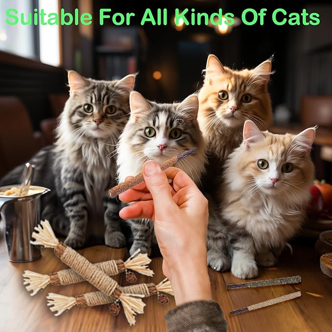 Cat Toys 10Pack Kitten Silvervine Toy Indoor Catnip Toys Kitty Chew Stick with Feather Kitten Treat for Teeth Cleaning Dental Mint Snack Molar Wood Food for Bordrom Exercise Interactive
