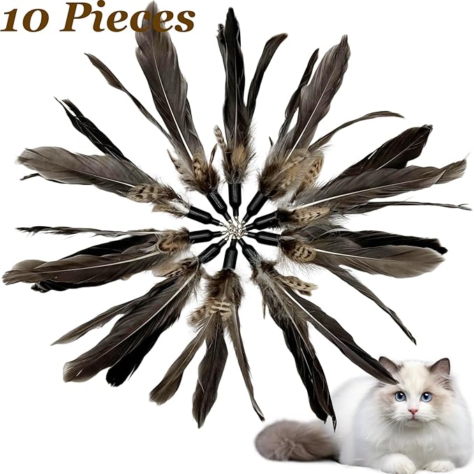 Cat Feather Toys Refills, 10 Pieces Natural Da Bird Feathers Refills, Cat Wand Replacement Feathers for Cat Toy