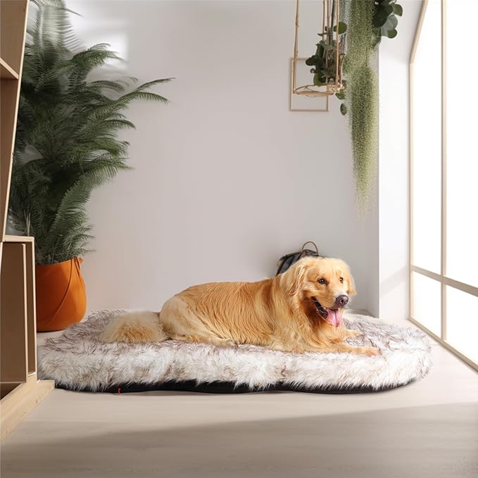 Laifug Luxury Faux Fur Dog Bed, 5-inch Thick Grade Ultra Soft Orthopedic Memory Foam Dog Bed with Faux Fur Cover, Plush Pup Rug with Removable Cover, Waterproof Liner（White）