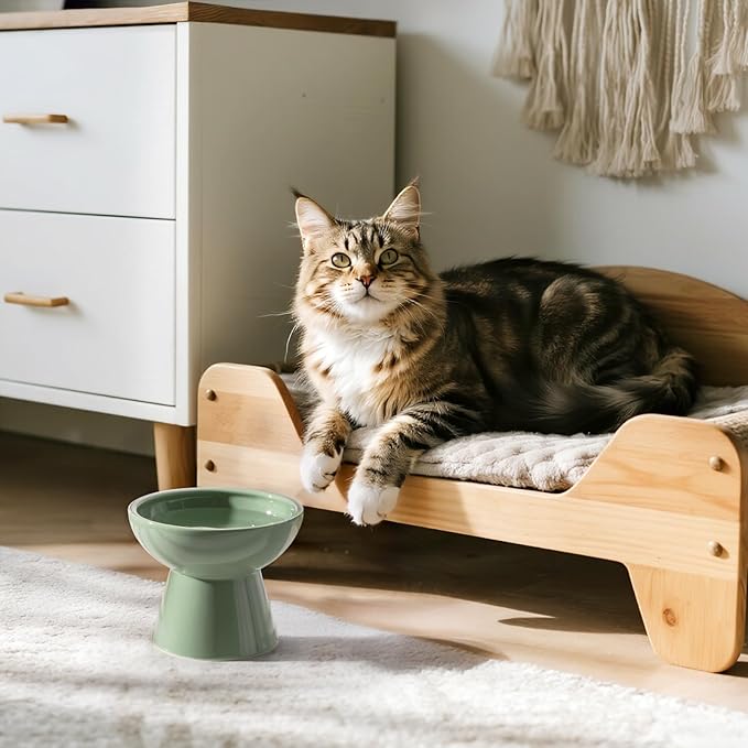 Extra Wide Elevated Ceramic Cat Water Bowl - 6.2" Deeper Dish for Whisker Fatigue Relief, 5" Height for Easy Feeding, Lead & Cadmium Free, Durable Raised Cat Bowls, Green