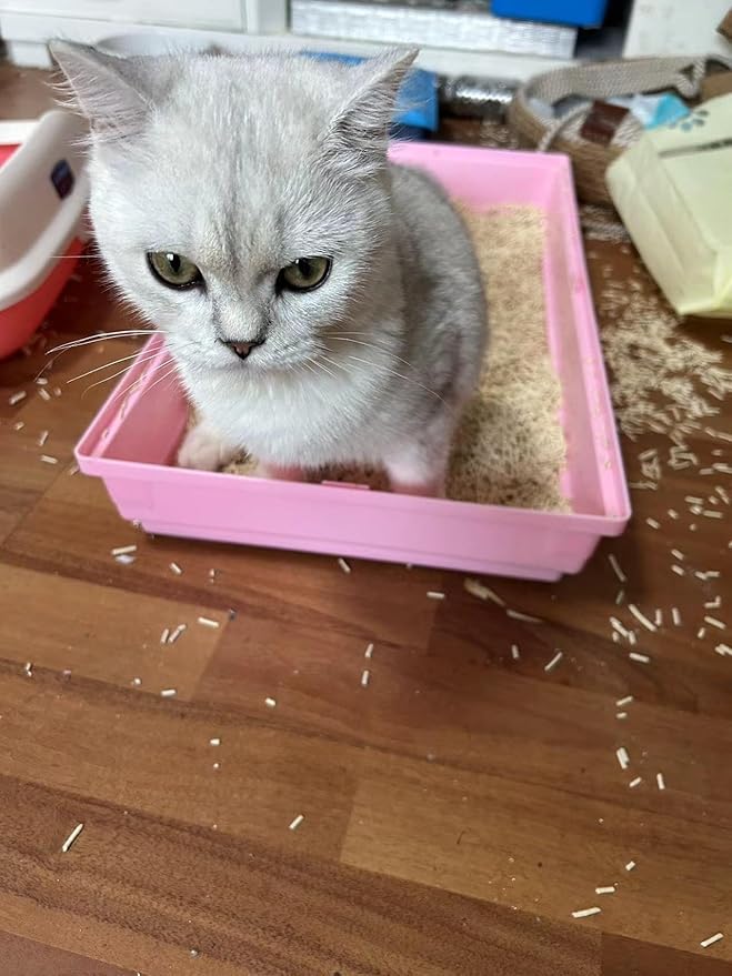 Original Tofu Cat Litter, Bean Fragrance, Odor Control and Economical cat Litter Dust-Free, Quick Clumping, Water Flushable.