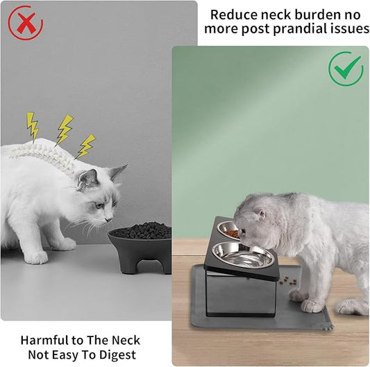 Upgraded Elevated Cat Bowls with Food Mat,15°Tilted Stand Anti Vomiting Raised Cat Dishes for Food and Water,2 Stainless Steel Bowls for Cats and Puppy（Black）