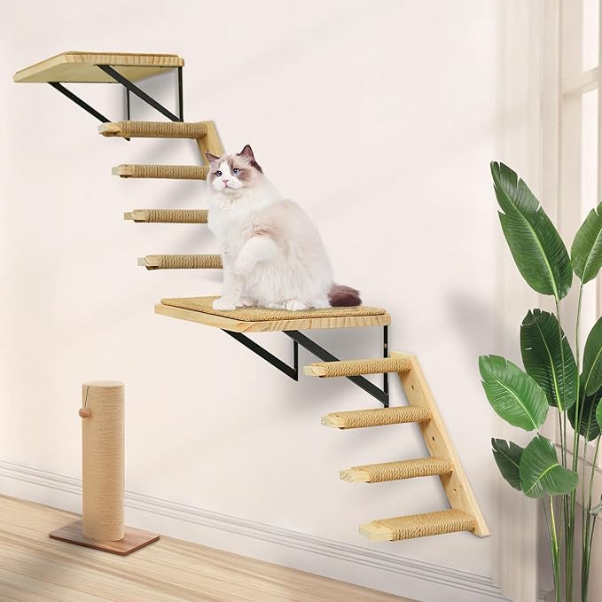 Wall Mounted 1 Pack Cat Shelf with 2 Pcs Two Steps Climber Stairs - Modern Cat Wall Furniture for Climbing, Lounging, and Playing - Perfect Hammock for Indoor Cats or Kitty