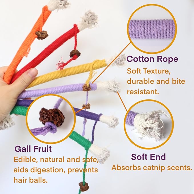 Kitten Toys, Cat Chew Toy for Teeth Cleaning, Catnip Rope Toys for Indoor Kittens, Interactive Cat Nip Teething Toys for Cats, Kitty Kicker Toy, 6 Pack (Plus 3 Pouches of Catnip)