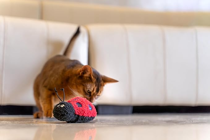 Interactive Catnip Cat Plush Toy, Insect Theme, 5'', for All Breed Size Cats (Ladybug)