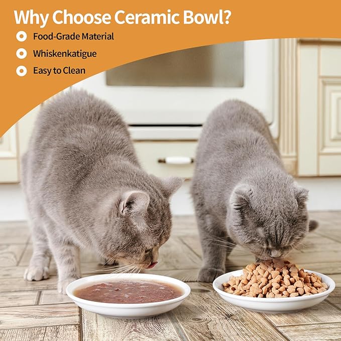 5.9 inch Ceramic Cat Bowls,Wide Shallow Dishes,Whisker-Friendly Plates,Food and Water Bowl for Indoor Cats,-10 oz,3 Pack