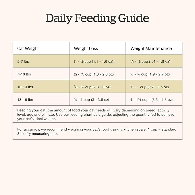 Now Fresh Grain-Free Dry Cat Food with Turkey, Salmon & Duck, Healthy Kibble for Adults Made with Real Meat & Fish, Chicken-Free, with Pumpkin & Probiotics for Sensitive Stomachs, 8 lb Bag