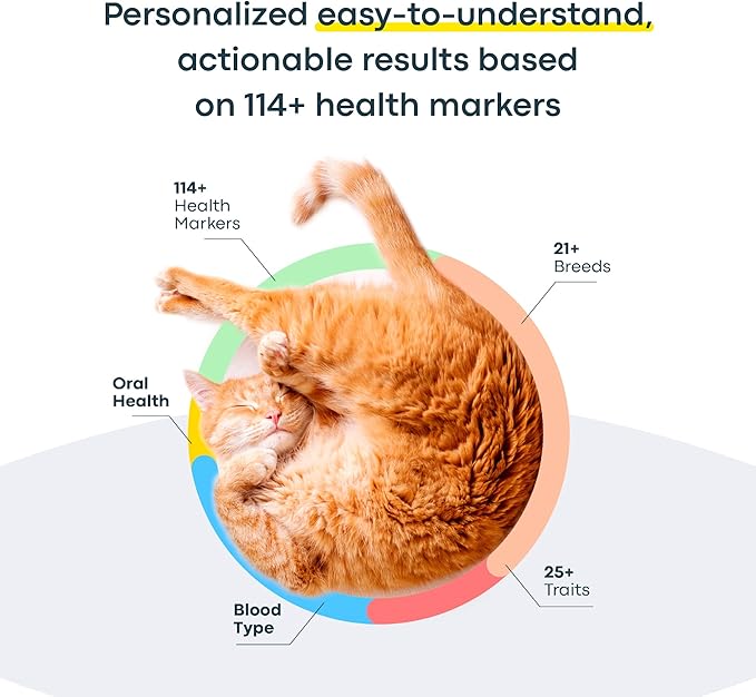 Basepaws Cat DNA Test Kit - Comprehensive Breed, Health and Dental Analysis Across 114 Traits for Accurate and Easy-to-Use Genetic Insights