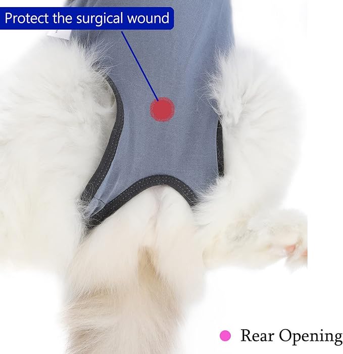 Cat Surgery Recovery Suit Cat Onesie for Cats After Surgery Spay Surgical Abdominal Wound Skin Diseases E-Collar Alternative Wear (Grey-Blue-M)