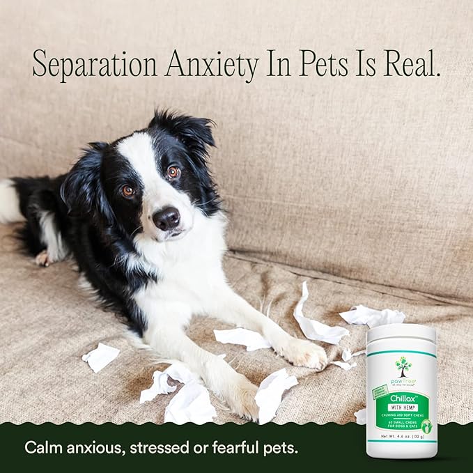 pawTree Chillax - Natural Calming Hemp Chews for Dogs and Cats - Formula to Relieve Stress and Tension; Ease Travel, Separation Anxiety and Soothe Fear - Small Soft Chews (60 Count)