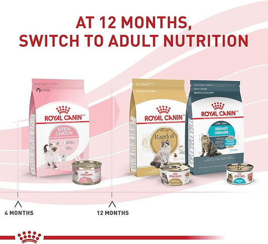 Royal Canin Feline Health Nutrition Kitten Loaf in Sauce Canned Cat Food, 5.1 oz can (24-count)