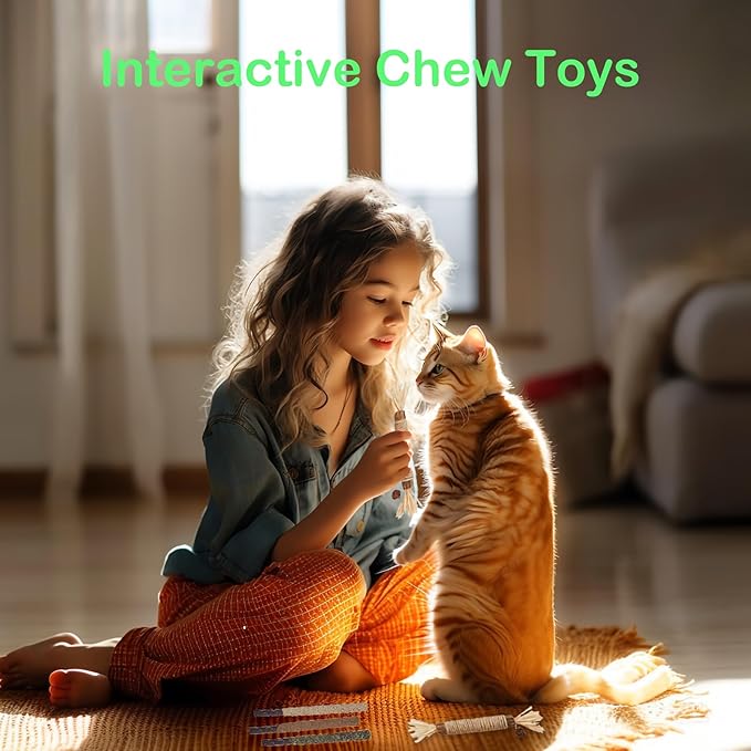Cat Toys 10Pack Kitten Silvervine Toy Indoor Catnip Toys Kitty Chew Stick with Feather Kitten Treat for Teeth Cleaning Dental Mint Snack Molar Wood Food for Bordrom Exercise Interactive