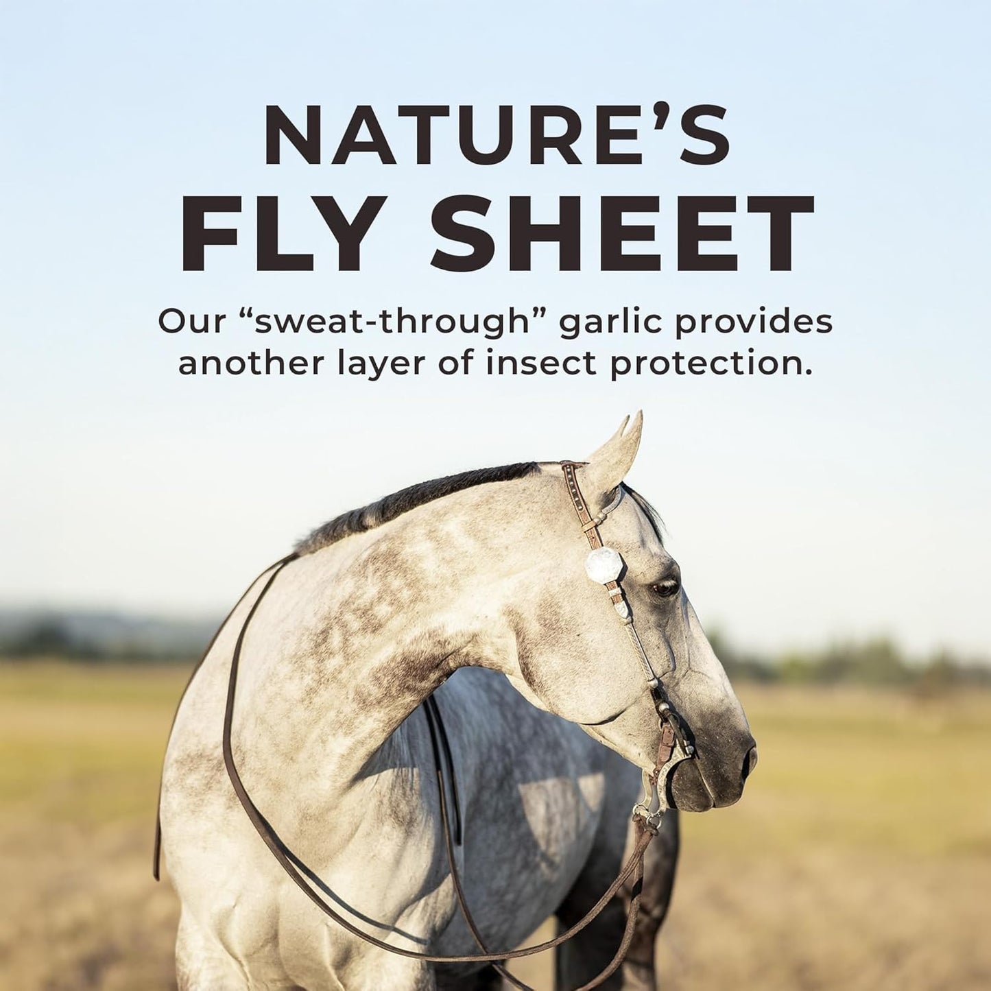 Daily RED Crushed Garlic - Mineral Supplement for Horses (25 LB Garlic)