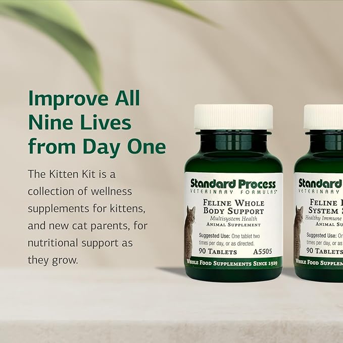 Standard Process Kitten Kit - Overall Health Kit for Feline Whole-Body Support - Feline Immune System Support Supplements - Wellness Supplements to Support Kitten Health & Growth - Includes Catnip Toy