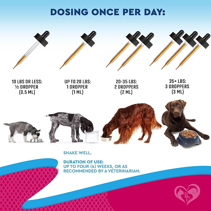 Beloved Pets Cat & Dog Urinary Tract Infection Treatment & Natural UTI Medicine Cranberry-Kidney+Bladder Support Supplement - Best Prevention Incontinence, Bladder Stones