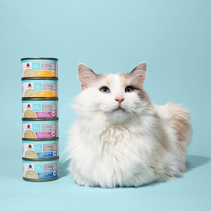 Weruva Wx Phos Focused, Chicken Formula in Gravy, 3oz Can (Pack of 12)