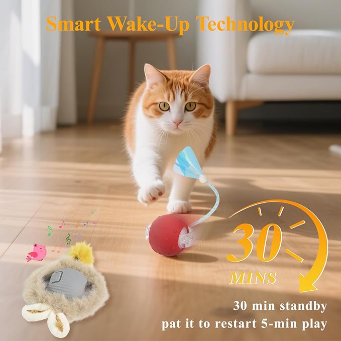 Interactive Cat Toys for Indoor Automatic Cat Balls Hide and Seek in Pouch, with 2 Balls 3 Tails Play Mat, 5 Ways Playing Enrichment Toys