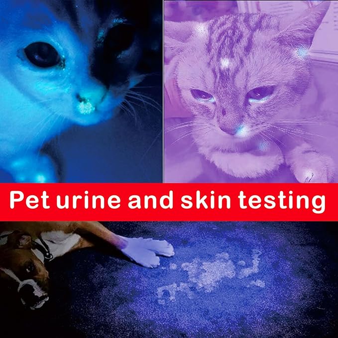 365nm UV Flashlight, Portable Black Light LED Flashlight, Mini Black Light for Pet Urine Detection, Handheld UV Flashlight for Resin Pet Urine Nails Money Pack of 2