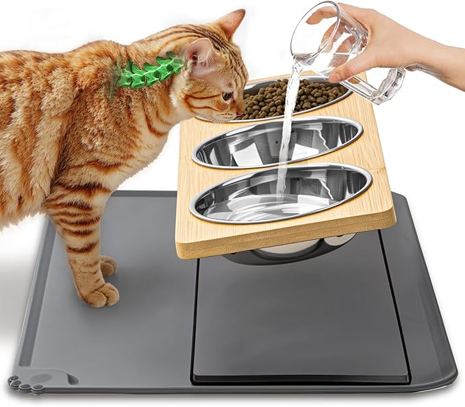 Elevated Cat Food Bowls with Mat Whisker Friendly, 15°Tilted Raised 3 Stainless Steel Cat Water Dishes Set for Anti Vomit, Pet Holder Stand Feeding Station for Indoor Kitten and Puppy