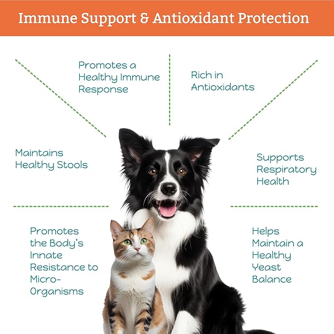 Immune-ity for Cats & Dogs - Herbal Health Supplement, Immune Support, Antioxidants, Yeast Balance, Healthy Stools, Microbiome Support, 1 Fluid Ounce Glass Bottle, Manufactured in The USA