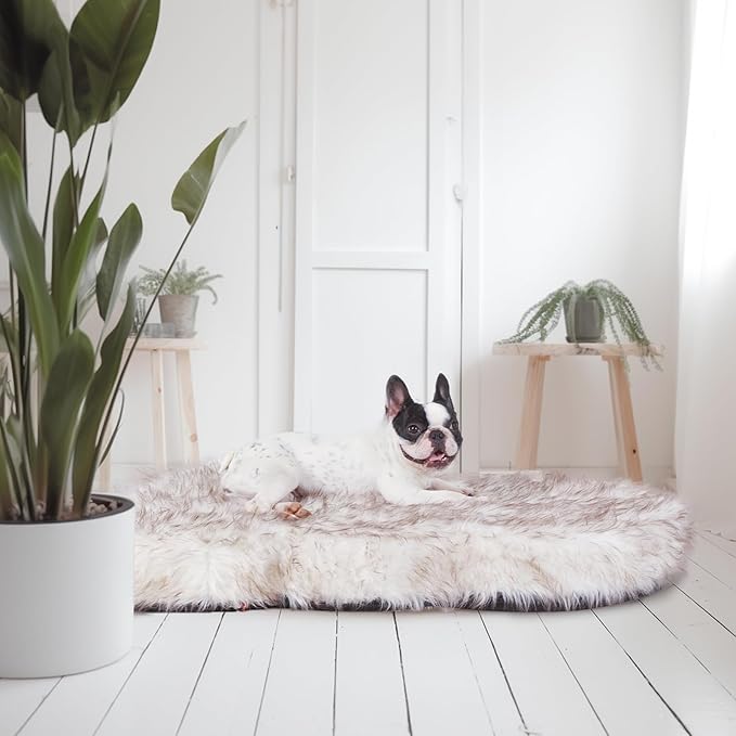 Laifug Luxury Faux Fur Dog Bed, 5-inch Thick Grade Ultra Soft Orthopedic Memory Foam Dog Bed with Faux Fur Cover, Plush Pup Rug with Removable Cover, Waterproof Liner（White）