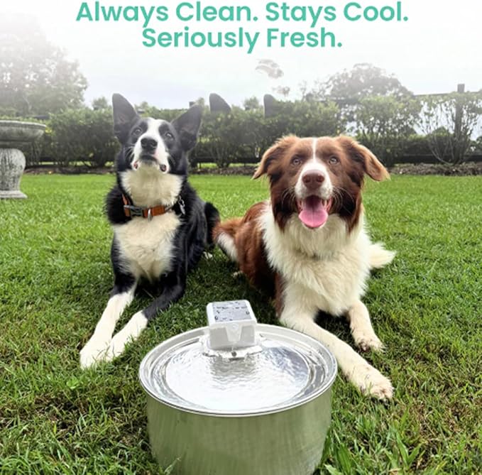 Flowzy Water Fountain, Flowzy Dog Water Fountain, 7L/1.8 Gal Stainless Steel Pet Water Fountain with Motion Sensor,Wireless Ultra-Quiet,3 Modes&5000mAH,Multi-Filtered with 8 Filters (+8 Filter, 1)