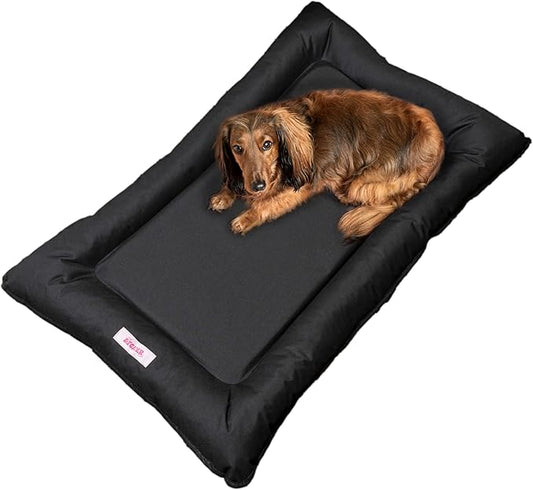 DBD3004E-M Archie 29.5" x 22.5" Traditional Oxford Waterproof Indoor/Outdoor Hand-Washable Memory Foam Camping Pet Bed, Ink