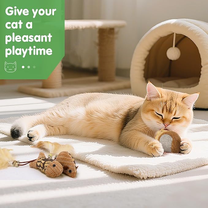 4 in 1 Relief Anxiety Catnip Cat Toys - 6 Styles Natural Silvervine Chew Toys for Teeth Cleaning, Reduce Obesity Risk, Cat Toy for Bored Indoor Adult Cats