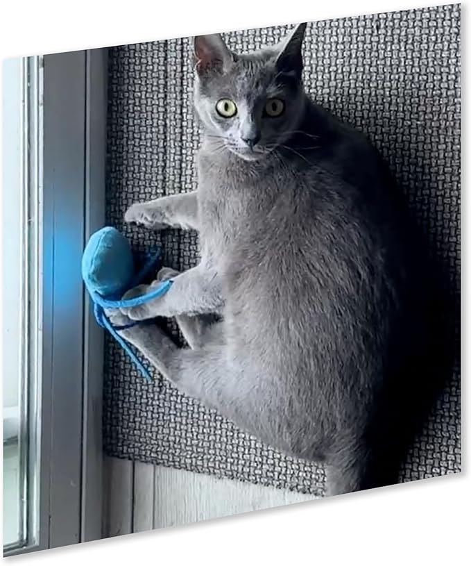 ZOOMIE Jelly Fish - Refillable Catnip Toy + Catnip | High Potency Hand Harvested Fresh Catnip | Soft Plush for Engaging Play