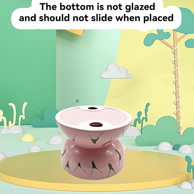 Hamiledyi Ceramic Raised Cat Bowl Anti Vomiting Elevated Tilted Cat Food & Water Bowls 2PCS Pet Feeder Dish for Indoor Kitty and Small Dogs(Lemons & Pitaya)