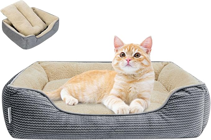 Miguel Washable Cat Beds for Indoor Cats with Removable Cushion/Pillow, Easy to Wash Small Dog Bed with Side, Large Rectangle Kitten Bed Cuddle Puppy Bed with Anti-Slip Bottom, Gray 20 Inch