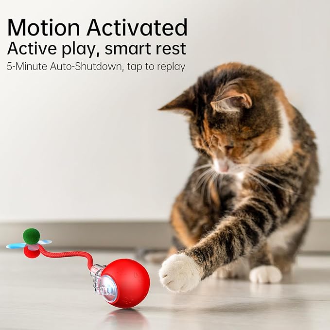 Interactive Cat Ball Toy - 2025 Smart Rolling Cat Toy with Shiny Tail, Motion Activated Boredom Relief for Indoor Cats, USB Rechargeable & Obstacle Avoidance