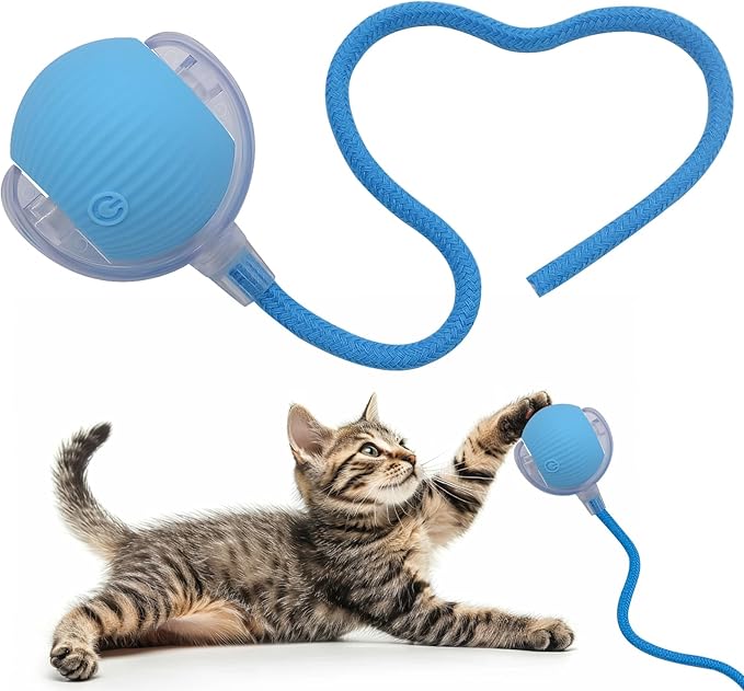 Interactive Cat Dog Toy Ball: Indoor Small Automatic Moving Smart Rolling Fun Pet Game with Led Light and String Tail for Motion Activated, Cute Kitten Puppy Present, Exercise Wheel Supplies (Blue)