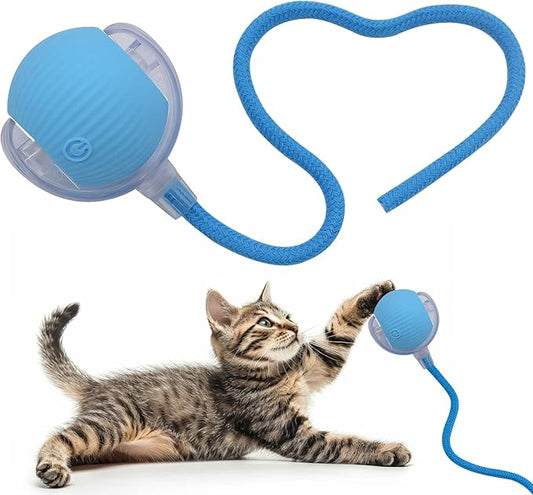 Interactive Cat Dog Toy Ball: Indoor Small Automatic Moving Smart Rolling Fun Pet Game with Led Light and String Tail for Motion Activated, Cute Kitten Puppy Present, Exercise Wheel Supplies (Blue)