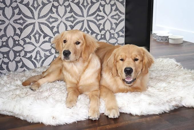 PupRug Orthopedic Dog Bed for Large Dogs with Fluffy Soft Faux Fur and Memory Foam for Joint Pain Relief, Machine Washable and Waterproof Couch Bed, White, Extra Large