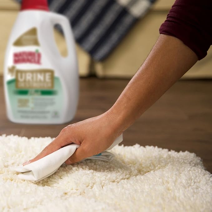 Nature's Miracle Urine Destroyer Plus for Dogs, Enzymatic Formula for Severe Dog Urine Stains, 1 gal
