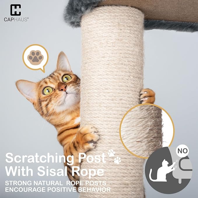 CAPHAUS Cat Tower for Indoor w/Cat Wand Toy, Modern Cute 74-Inch Cat Tree w/Widened Perch for Large Cats Kittens, Multi-Level Cat Activity Tree w/Scratching Posts, Tunnel, Basket, Cat Cave Condo