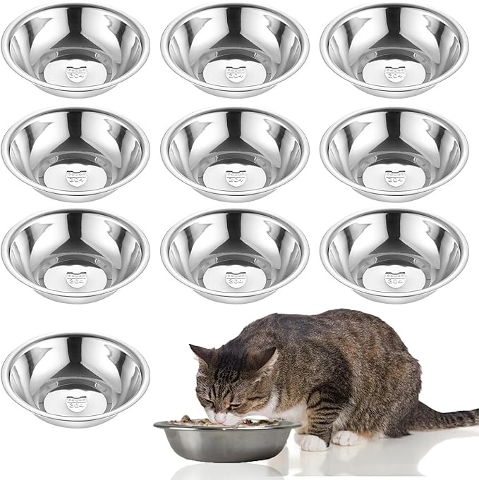 10 PCS 304 Stainless Steel Cat Bowls, Small Metal Pet Food Bowl (5.5in Diameter)