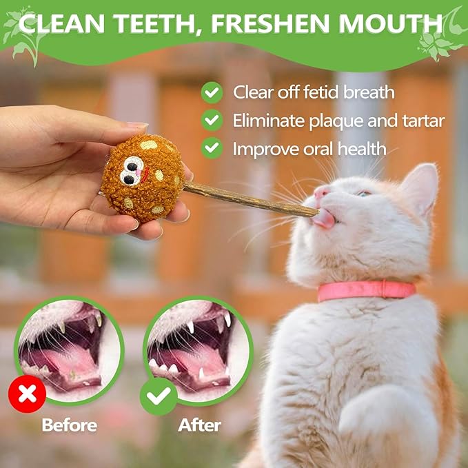 Silvervine Sticks for Cats, Lollipops Catnip Toys & Cat Chew Toy for Teeth Cleaning, Cat Toys for Indoor Cats (5-Pcs)