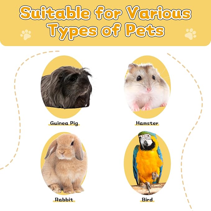 4-Pack Stainless Steel Cat Food Bowls – Deep Whisker-Friendly Non-Slip Silicone Base,Easy to Clean Indoor Feeding Dishes(5.9")