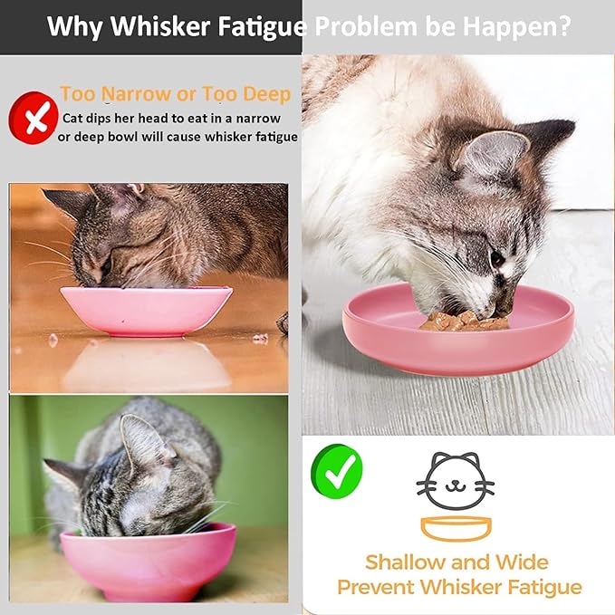 Ceramic Cat Bowls,Shallow Cat Dishes for Food and Water, 6 inch Matte Finish Wide Cat Food Bowl,Whisker Fatigue Free Pet Puppy Kitten Bowl Set of 3,Dishwasher Safe