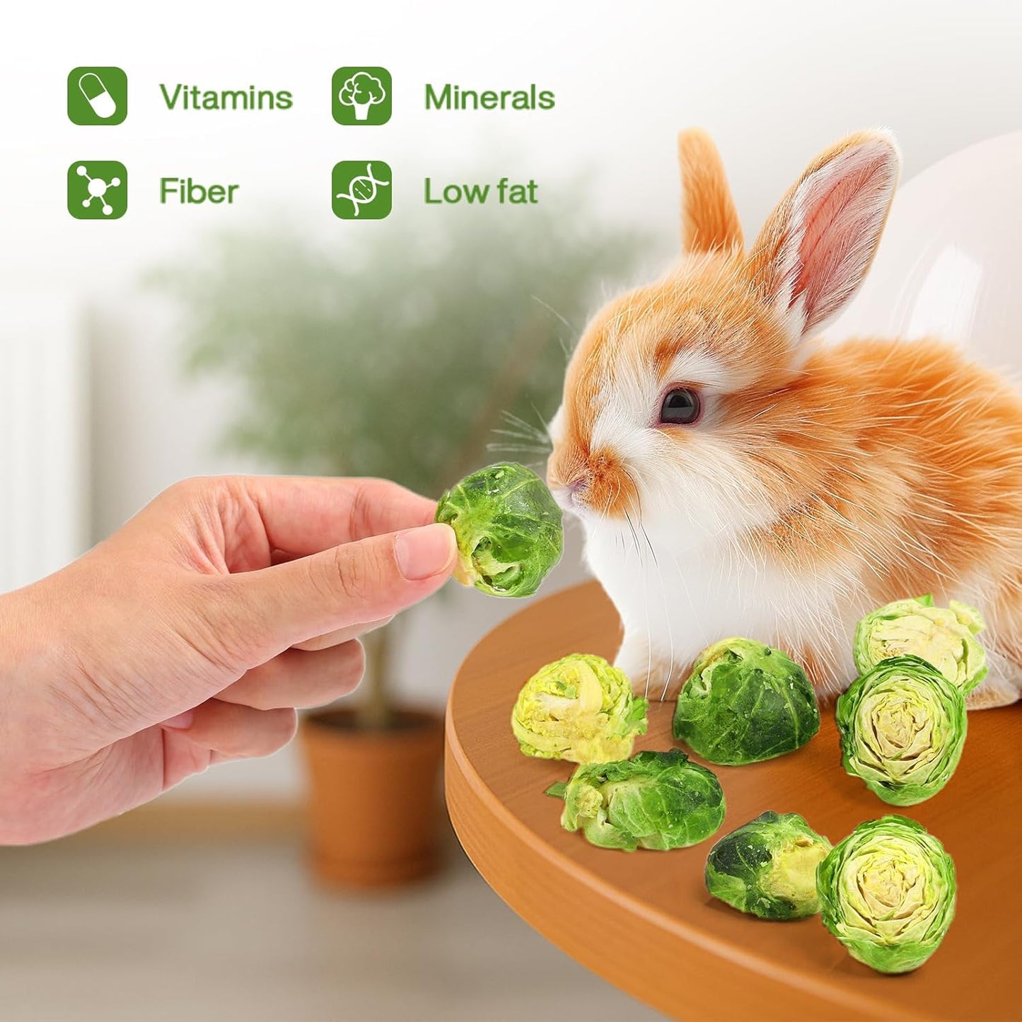 Abizoo Freeze Dried Brussels Sprouts Rabbit and Hamster Chew Treats Resealable Jar for Hamsters Bunny Guinea Pigs Groundhogs Natural Fiber Vitamin Snacks