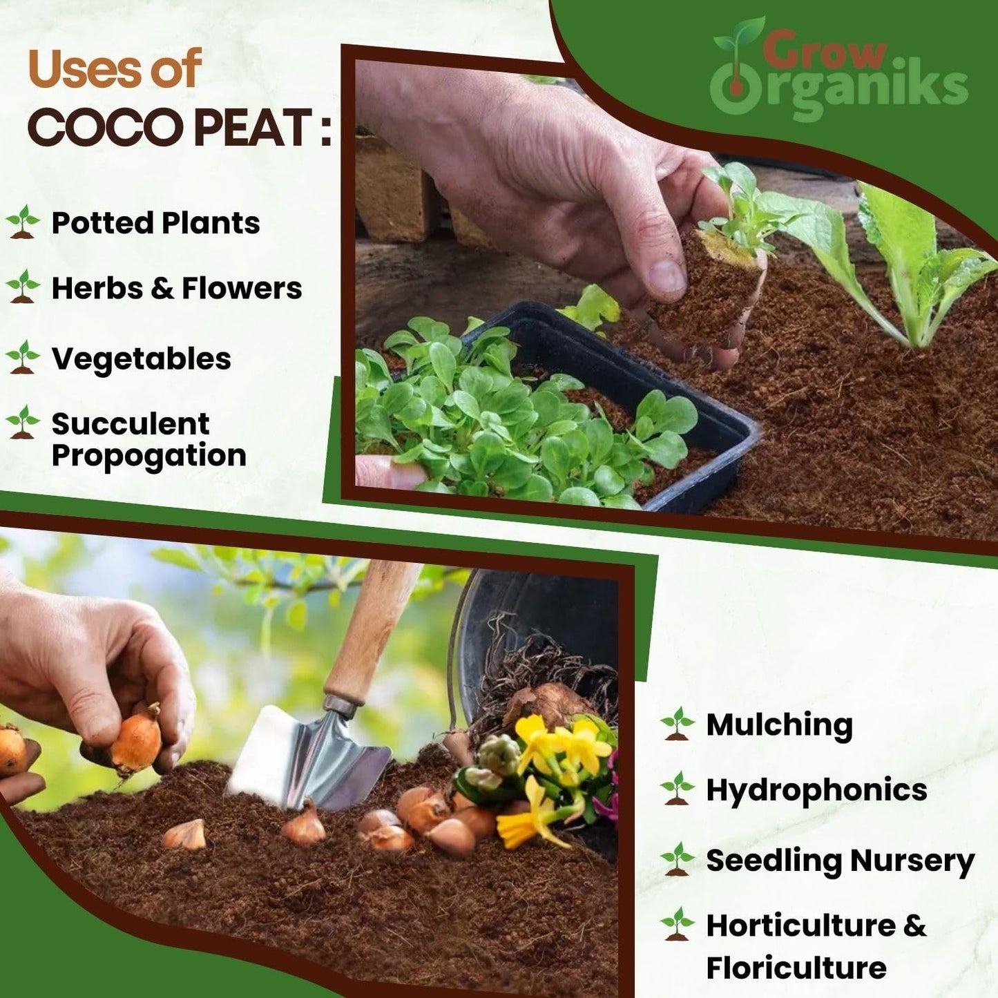 6 Pack Premium Coco Coir Brick for Plants | 100% Organic Compressed Coconut Coir Bricks Starting Mix, Coco Coir Fiber Coconut Husk for Planting, Gardening, Potting Soil Substrate, Herbs, 1.4 LB/Brick