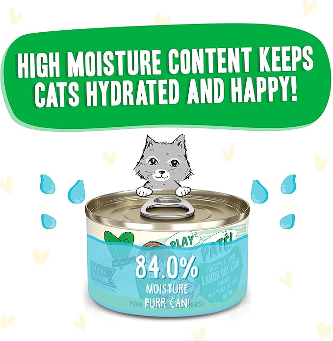 Weruva B.F.F. Play - Best Feline Friend Paté Lovers, Aw Yeah!, Chicken & Lamb Laugh Out Loud with Chicken & Lamb, 2.8oz Can (Pack of 12)