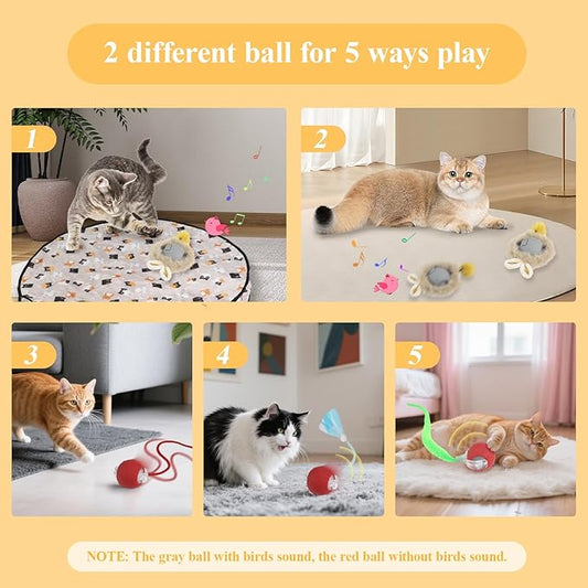 Interactive Cat Toys for Indoor Automatic Cat Balls Hide and Seek in Pouch, with 2 Balls 3 Tails Play Mat, 5 Ways Playing Enrichment Toys