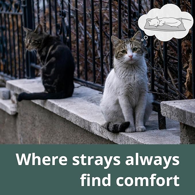 Outdoor Heated Dog Bed, Soft Pet Heating Pad with Steel-Wrapped Cord, Outside Pet Warmer for Feral Cats and Dogs, 35.4" x 23.6", 80 Watts