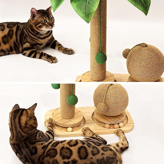 Cat Scratching Post, Wooden Cat Scratcher Toy for Indoor Cats, Sisal Ball Toy with Hanging and Track Balls, 17.7" Tall Banana Tree Cat Tower for Kittens